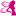 Amsterdam escort